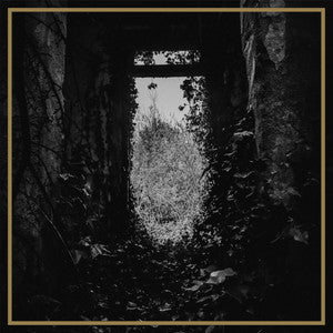 I, THE WEAPON-The Ivy