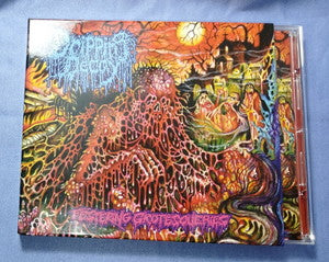 ★2026年2月21日、Metal's Hut 新入荷情報！【★DRIPPING DECAY / Festering Grotesqueriesなどデス・メタル中心にスラッシュ、ブラック・メタル等も多めの45点！！】