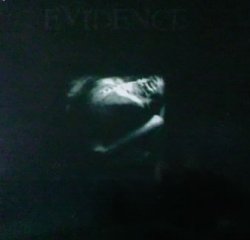 EVIDENCE / Fissure