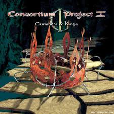 CONSORTIUM PROJECT / Criminals & Kings