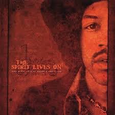 V.A. / The Spirit Lives On - The Music Of Jimi Hendrix Revisited / Volume 1