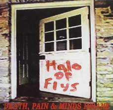 HALO OF FLYS / Death, Pain & Minds Insane