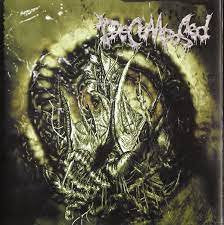 DECOMPOSED / Putrid Stench Purulency