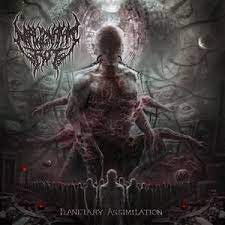 MALIGNANT ROT / Planetary Assimilation