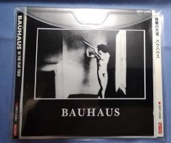 BAUHAUS / In The Flat Field(暗闇の天使)