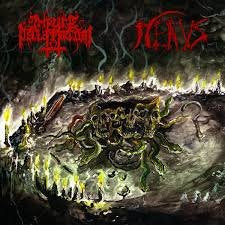 IMPURE DECLARATION / NEKUS / Malevolence Evocations