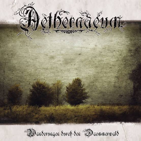 AETHERNAEUM-Wanderungen durch den Daemmerwald