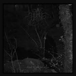 HUMUS-Tout ce qui est vieux