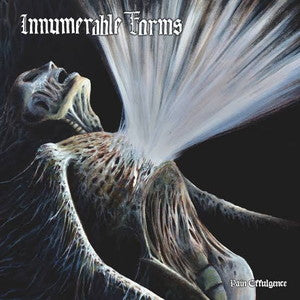 INNUMERABLE FORMS-Pain Effulgence