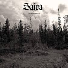 SAIVA-Markerna bortom