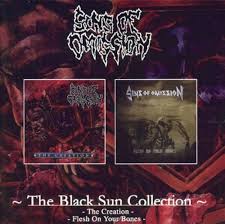 SINS OF OMISSION-The Black Sun Collection