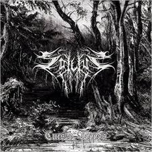 SOLUS-Cursed Woods