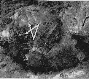 VOZ DE NENHUM-Sublimation