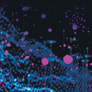 WHITE NIGHTS-Solanaceae